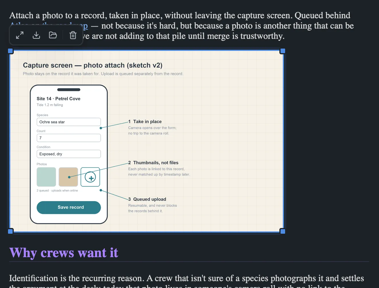 An image selected in an HTML page: an accent outline with four corner handles, and the Zoom, Save, Reveal and Delete toolbar above it