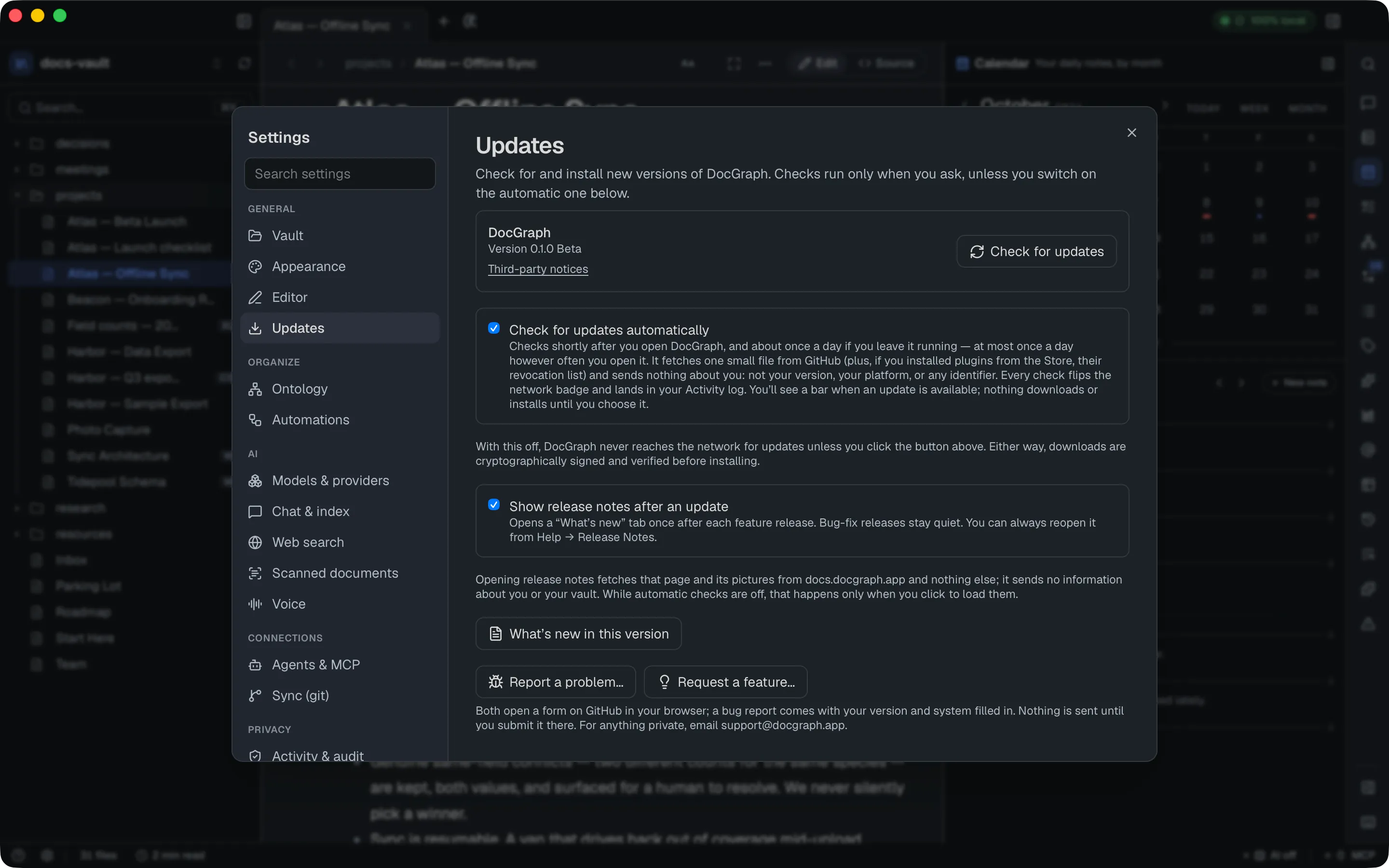 The Updates pane: DocGraph version 0.1.0 Beta with a "Check for updates" button, and "Check for updates automatically" checked (the default), "Show release notes after an update", and buttons for What's new, Report a problem and Request a feature.